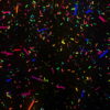 Confetti-Falling-Color-LIMEART_002 VJ Loops Farm - Video Loops & VJ Clips