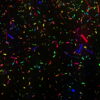 Confetti-Falling-Color-LIMEART_007 VJ Loops Farm - Video Loops & VJ Clips