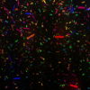 Confetti-Falling-Color-LIMEART_009 VJ Loops Farm - Video Loops & VJ Clips