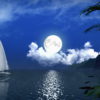 vj video background White-Sail-in-a-night_1920x1080_60fps_VJ_Loops_LIMEART_003