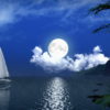 White-Sail-in-a-night_1920x1080_60fps_VJ_Loops_LIMEART_006 VJ Loops Farm
