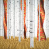 Russian-Birch-Tree-whith-a-flag_1920x1080_29fps_VJ_Loop_LIMEART_002 VJ Loops Farm