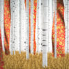 Russian-Birch-Tree-whith-a-flag_1920x1080_29fps_VJ_Loop_LIMEART_006 VJ Loops Farm