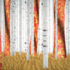 Russian-Birch-Tree-whith-a-flag_1920x1080_29fps_VJ_Loop_LIMEART_008 VJ Loops Farm