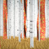 Russian-Birch-Tree-whith-a-flag_1920x1080_29fps_VJ_Loop_LIMEART_009 VJ Loops Farm