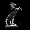 Black-Horse-Statue-Holographic-VJ-Loop-LIMEART_002 VJ Loops Farm