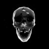Black-Skull-Statue-Holographic-VJ-Loop-LIMEART.mov_004 VJ Loops Farm