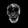 Black-Skull-Statue-Holographic-VJ-Loop-LIMEART.mov_009 VJ Loops Farm