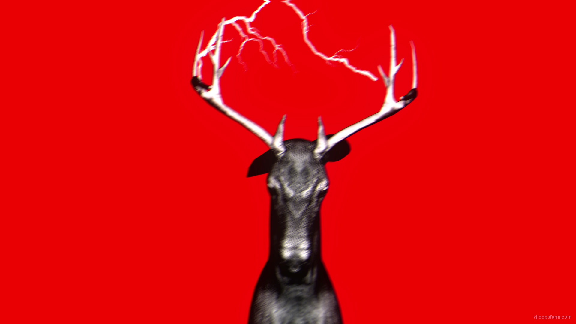 Minimal Deer on red background V1 – VJ Loop