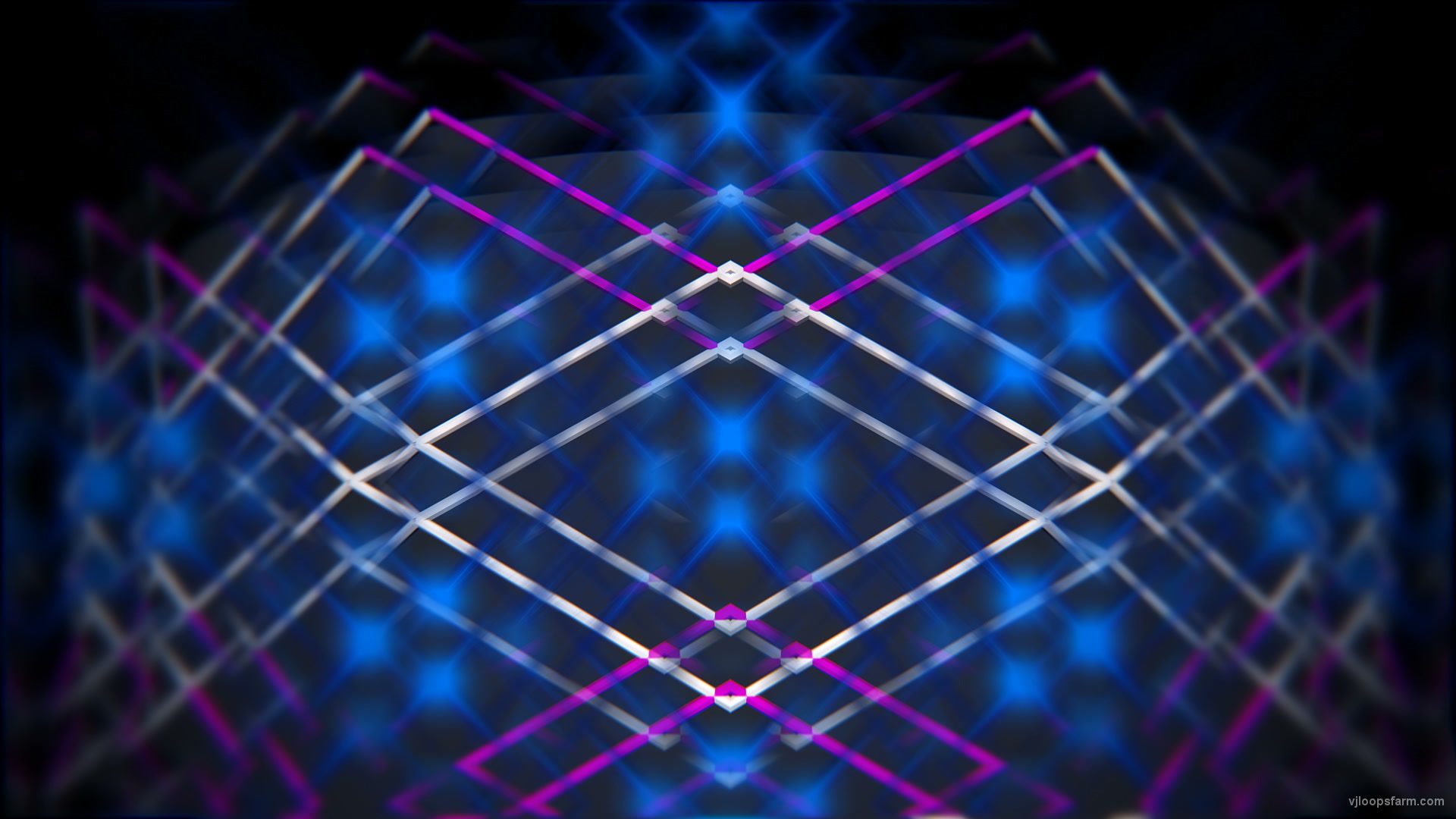 Grid Violet – VJ Loop