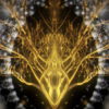 vj video background Gilded-Roots-Tree-Mirror-2_003