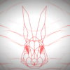 Rabbit-Vita-Beats-VJ-Loop-NEKTARDIGITAL-5_009 VJ Loops Farm