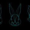 Rabbit-Vita-VJ-Loop-NEKTARDIGITAL-2_005 VJ Loops Farm