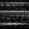Video-Mapping-Facku-Displace-Text-Word_005 VJ Loops Farm