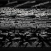 Video-Mapping-LIVE-ARCHITECTURE-Displace-Text-Word_008 VJ Loops Farm