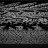 Video-Mapping-LIVE-ARCHITECTURE-Displace-Text-Word_009 VJ Loops Farm