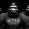 vj video background Gorilla-Brothers-Simple-VJ-Loop-LIMEART_003