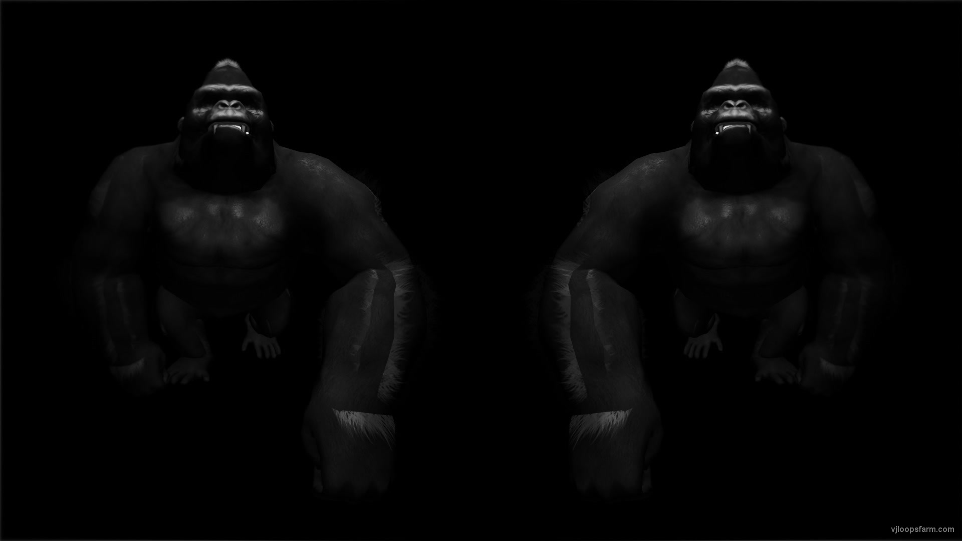 Gorilla Bodyguards Full HD VJ Loop