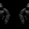 vj video background Gorilla-Double-Bodyguards-Strobe-VJ-Loop-LIMEART_003