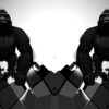 Gorilla-Double-Bodyguards-Strobe-VJ-Loop-LIMEART_004 VJ Loops Farm