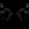 Gorilla-Double-Bodyguards-Strobe-VJ-Loop-LIMEART_007 VJ Loops Farm