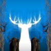 EDM-Stag-Blue-Beats-Deer-VJ-Loop-LIMEART_009 VJ Loops Farm