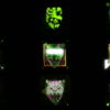 Green-leopard-facial-animation-effect-on-black-motion-background-vj-loop VJ Loops Farm