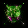 Green-leopard-facial-animation-effect-on-black-motion-background-vj-loop_004 VJ Loops Farm