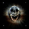 kaleidoscopic-Skull-in-a-cuboid-animation-effect-on-black-motion-background-vj-loop_009 VJ Loops Farm