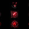Red-Polymask-animation-effect-on-black-motion-background-vj-loop VJ Loops Farm