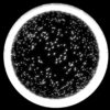 Displace-Cirlce-Ring-Explosion-3D-Effect-Fulldome-Video-Loop_005 VJ Loops Farm