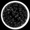 Displace-Cirlce-Ring-Explosion-3D-Effect-Fulldome-Video-Loop_006 VJ Loops Farm