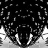 Gate-Portal-Wings-with-displace-effect-video-art-vj-loop-transition-for-3d-mapping_005 VJ Loops Farm