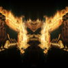Golden-Phoenix-Fire-Flame-Video-Art-VJ-Loop_005 VJ Loops Farm