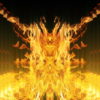 Golden-Phoenix-Fire-Gatee-Flame-Visuals-Video-Art-VJ-Loop_002 VJ Loops Farm