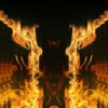 Golden-Phoenix-Fire-Gatee-Flame-Visuals-Video-Art-VJ-Loop_005 VJ Loops Farm