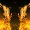 Golden-Phoenix-Fire-Gatee-Flame-Visuals-Video-Art-VJ-Loop_006 VJ Loops Farm