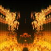 Golden-Phoenix-Fire-Gatee-Flame-Visuals-Video-Art-VJ-Loop_007 VJ Loops Farm