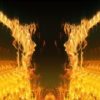 Golden-Phoenix-Fire-Gatee-Flame-Visuals-Video-Art-VJ-Loop_008 VJ Loops Farm