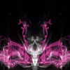 Pink-Fire-Element-Motion-Graphics-Video-Art-VJ-Loop_004 VJ Loops Farm
