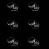 vj video background Animal-Skull-random-strobe-isolate-x-rays-VJ-Loop_003