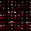 Animals-Bones-Skull-Texture-pattern-with-red-strobing-effect-VJ-Loop VJ Loops Farm