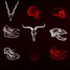 Animals-Bones-Skull-Texture-pattern-with-red-strobing-effect-VJ-Loop_007 VJ Loops Farm