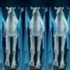 Camel-Team-Full-Size-3D-Blue-Glow-Animal-Video-Art-VJ-Loop_004 VJ Loops Farm