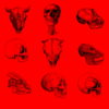 vj video background Red-Pattern-Bones-Video-Texture-Skull-Halloween-VJ-Loop_003