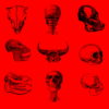 Red-Pattern-Bones-Video-Texture-Skull-Halloween-VJ-Loop_004 VJ Loops Farm