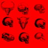 Red-Pattern-Bones-Video-Texture-Skull-Halloween-VJ-Loop_006 VJ Loops Farm