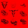 Red-Pattern-Bones-Video-Texture-Skull-Halloween-VJ-Loop_007 VJ Loops Farm
