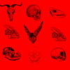 Red-Pattern-Bones-Video-Texture-Skull-Halloween-VJ-Loop_008 VJ Loops Farm