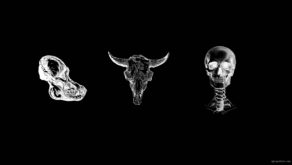 vj video background Three-Head-Skull-Bones-Hallowen-Play-Machine-isolated-on-black-VJ-Loop_003